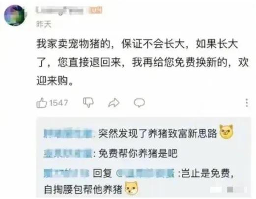 免费帮他养猪，甚至还要交押金