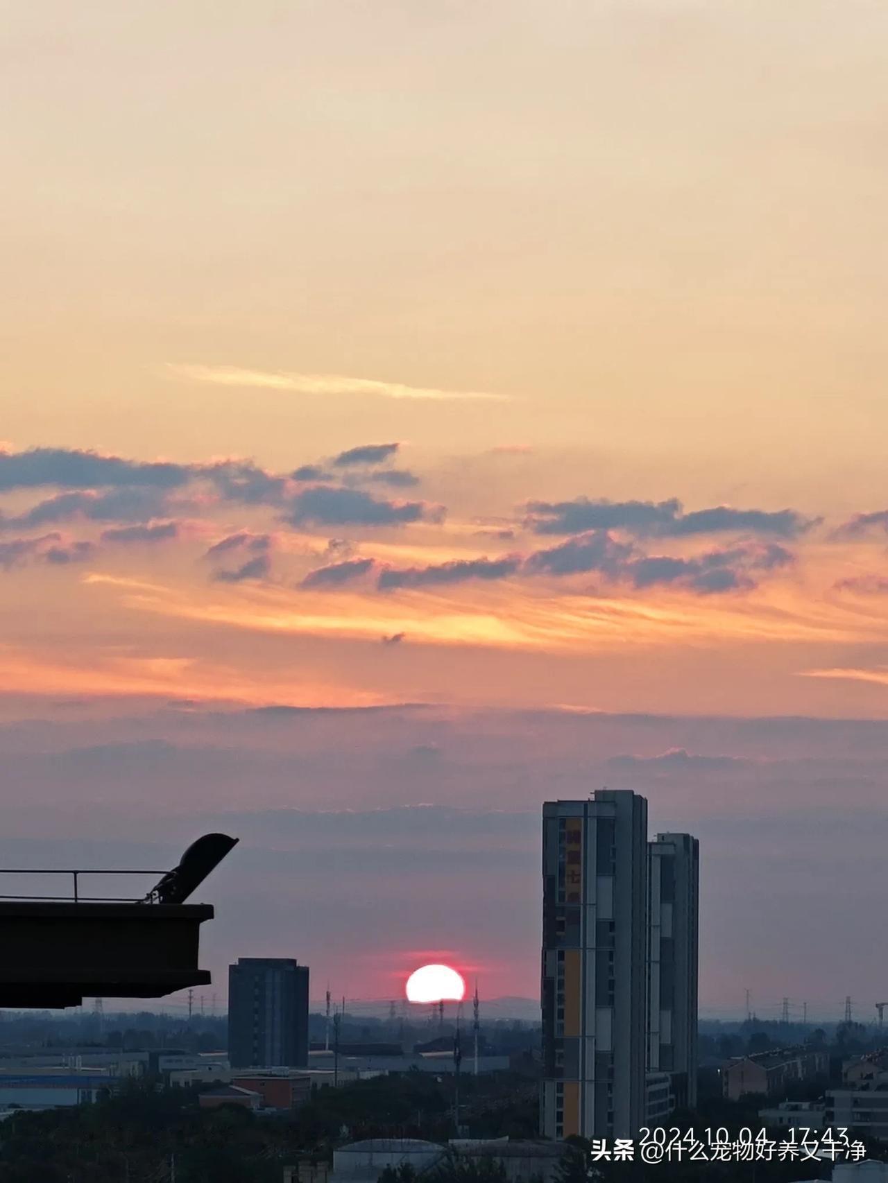 #分享一下你拍的夕阳照片给我看看呗#夕阳无限好，我的小鸟脸上，帮我留住了夕阳！