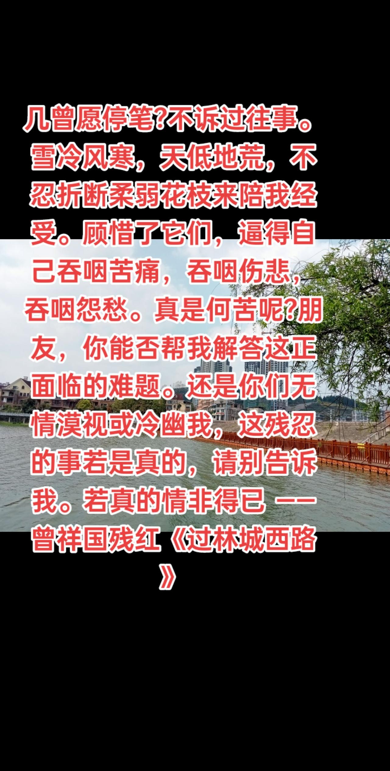 几曾愿停笔?不诉过往事。雪冷风寒，天低地荒，不忍折断柔弱花枝来陪我经受。顾惜了它