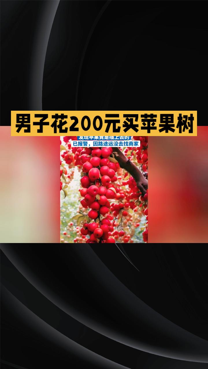 200元买的苹果树，苹果居然是用螺丝拧上去的！天津一男子报警维权，却发现维权之路