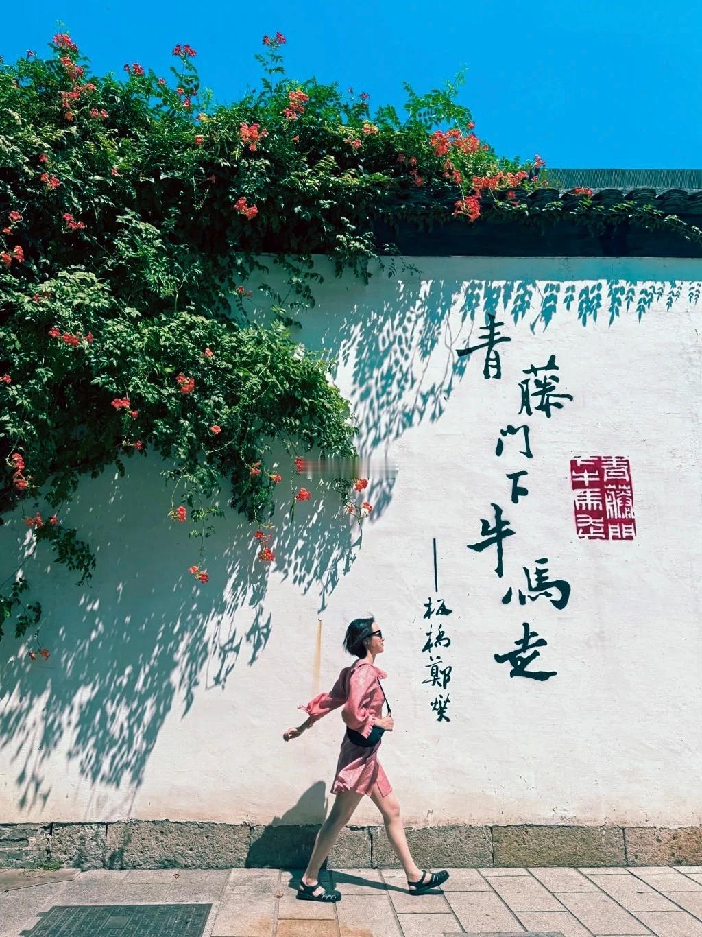 徐渭故里“绍兴师爷馆”旁的【青藤门下牛马走】在小R书上火了。这两年民间带有自嘲性