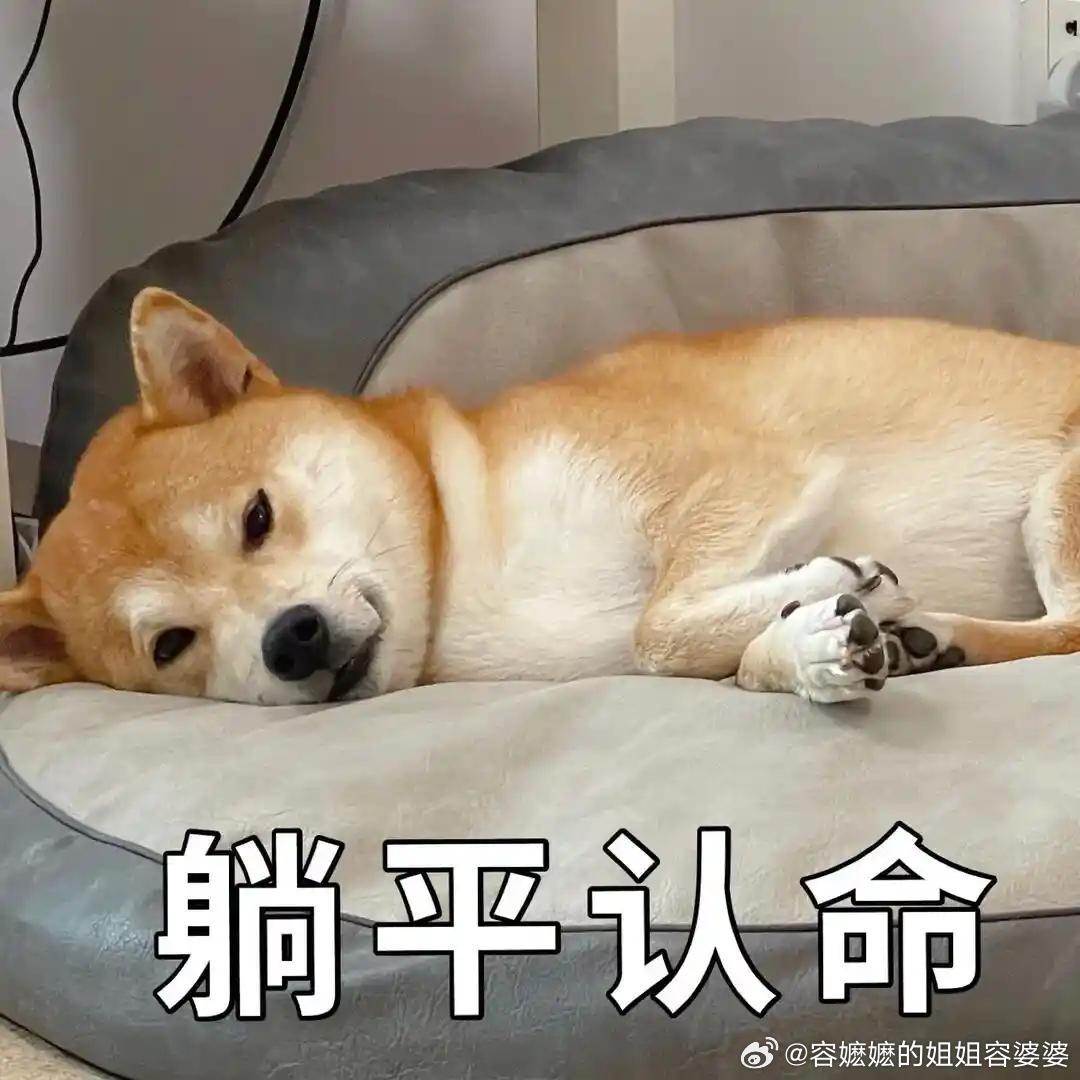 工程师猝死倒地后工作群还在轰炸我现在已经理解那些躺平的年轻人了，活着就是对父母亲