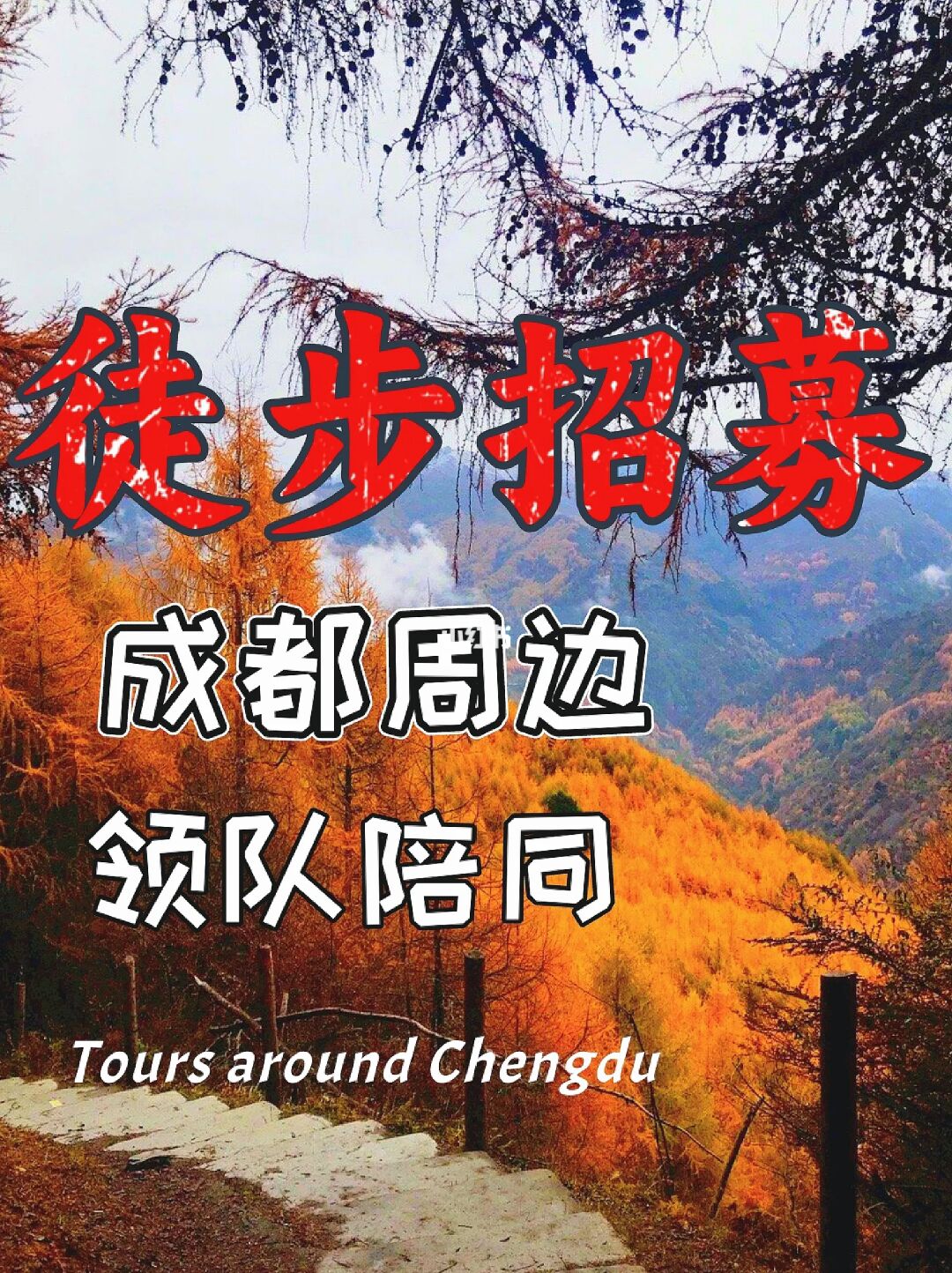 十月金秋美景❗️52条新手小白解压徒步路线