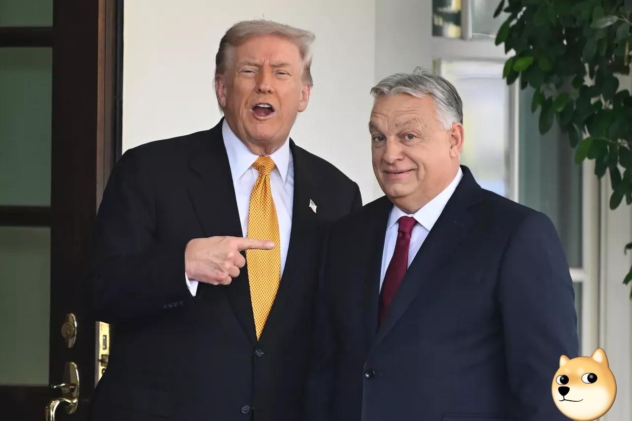 快讯！快讯！
美国总统特朗普说了

当地时间2025年11月7日，美国总统特朗普