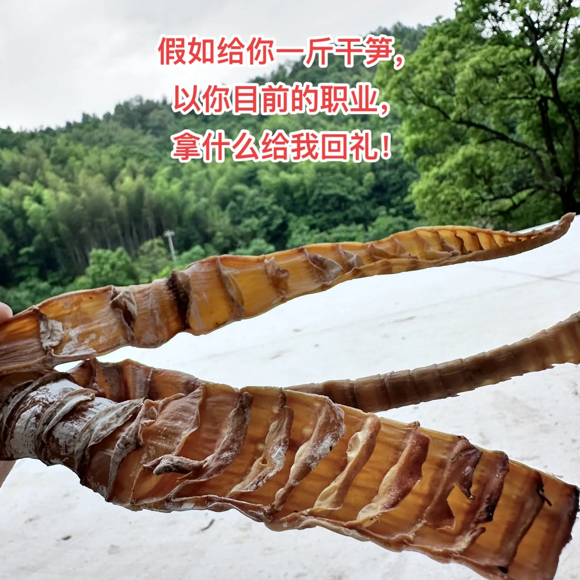 假如给你一斤干笋，以你目前的职业，拿什么给我回礼！野生竹笋