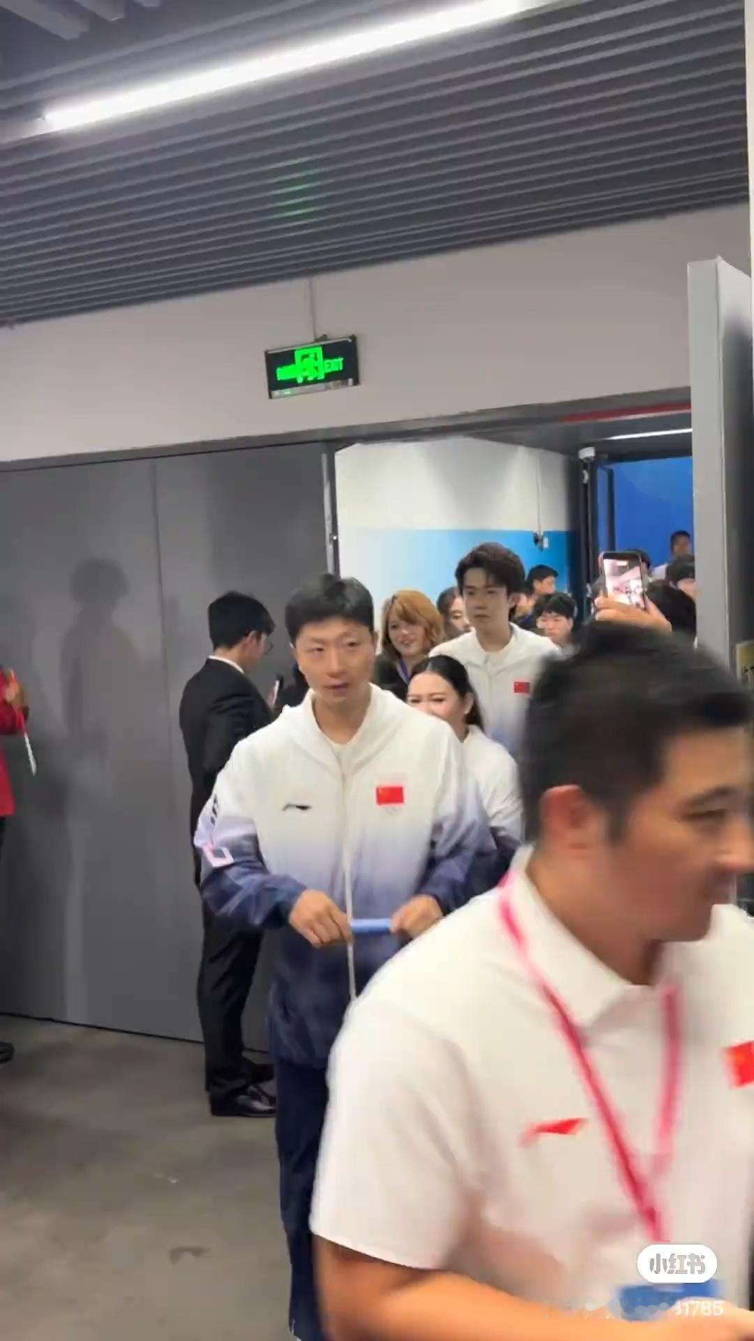 小猫悄悄的笑