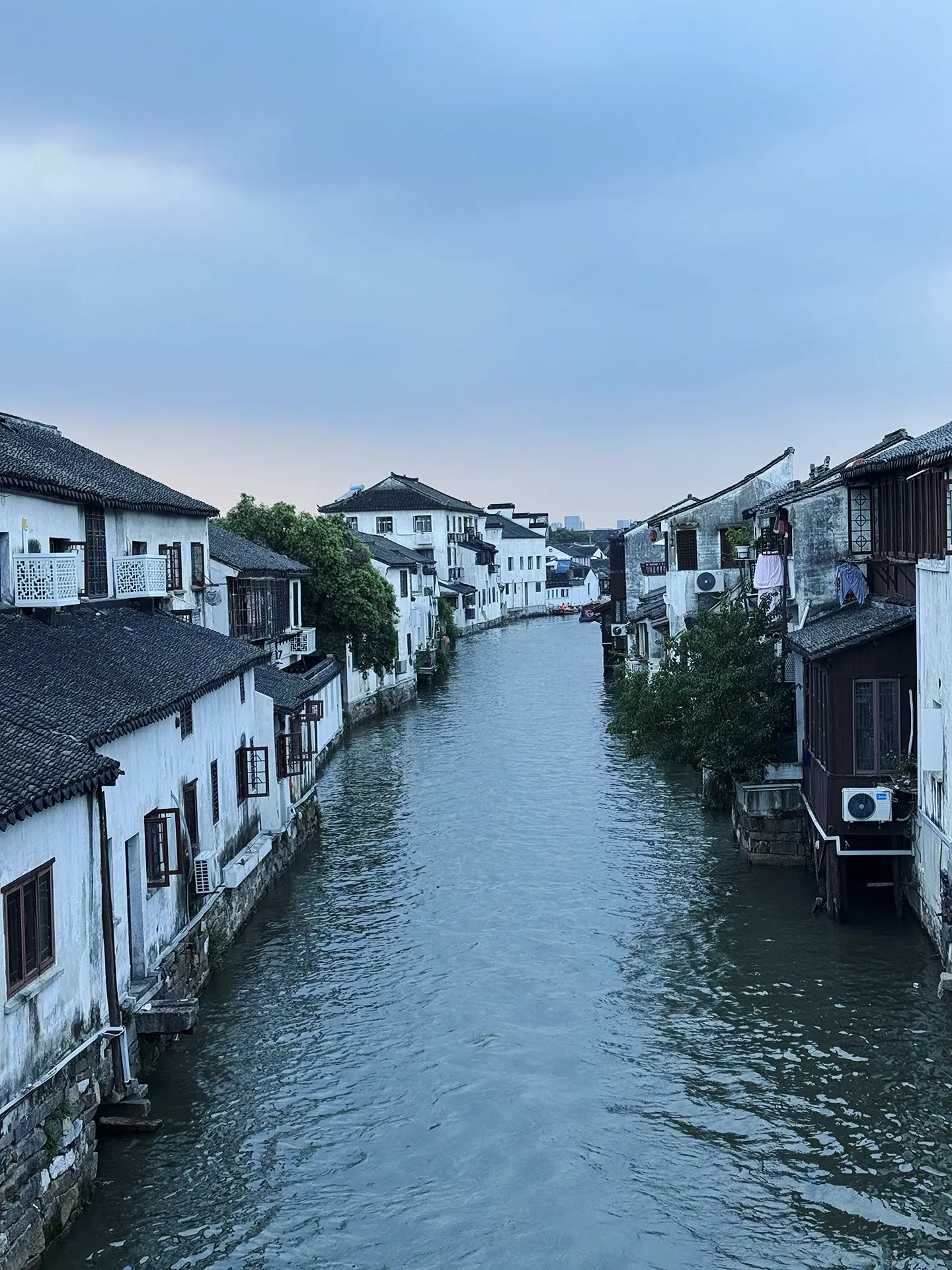 我亲眼目睹了自己的崩塌与重建，这一路很辛苦，我可以破碎但绝不枯萎