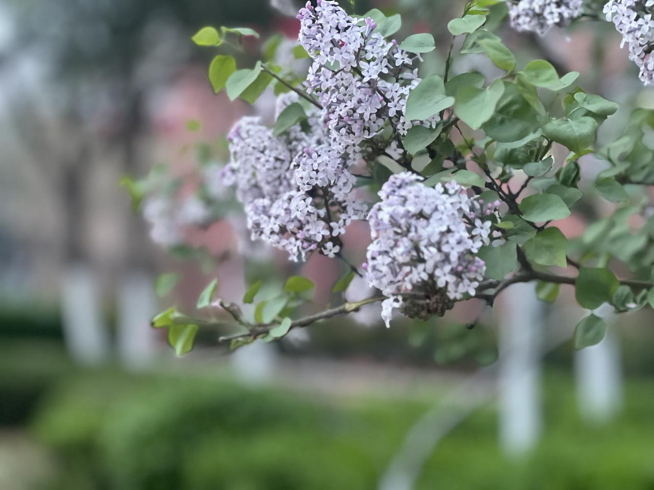 我认为很有必要为前两天宣布退役的丁彦雨航说上两句，以篮球之名说两句。对小丁而言，