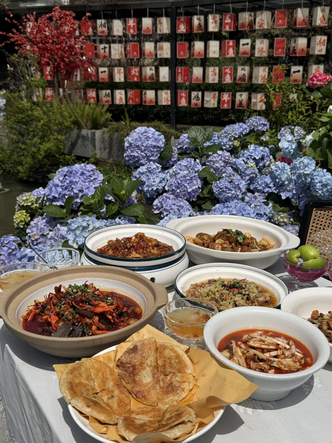 株洲宴请）一整个庭院都是绣球花🌸