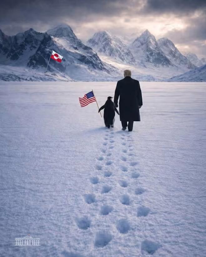 看到唐罗主义的持续推进，我国也应该在外交上积极作为，在特朗普对一些国家提出不合理