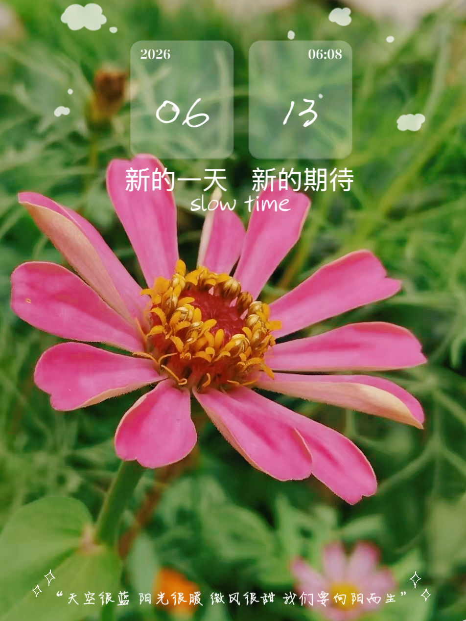 把普通的日子，过得浪漫一点。风里已经有了夏天的味道，愿你带着花的娇艳，奔赴今日的