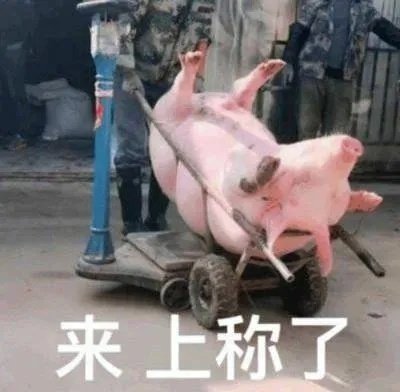 女🐷有三巨头男🐷有一巨头番位上称一看便知