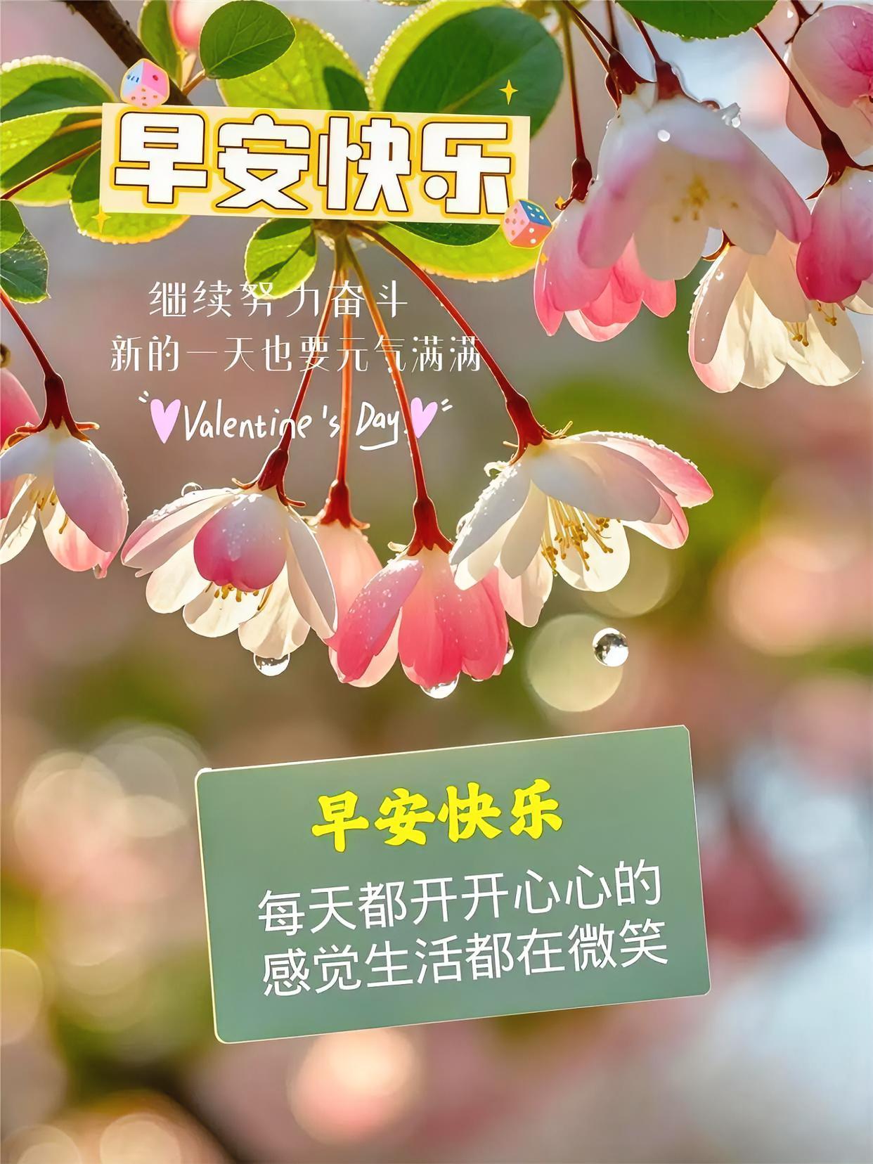 早安快乐！花儿带露笑，生活也微笑，元气满满开启爱意满满的每一天～