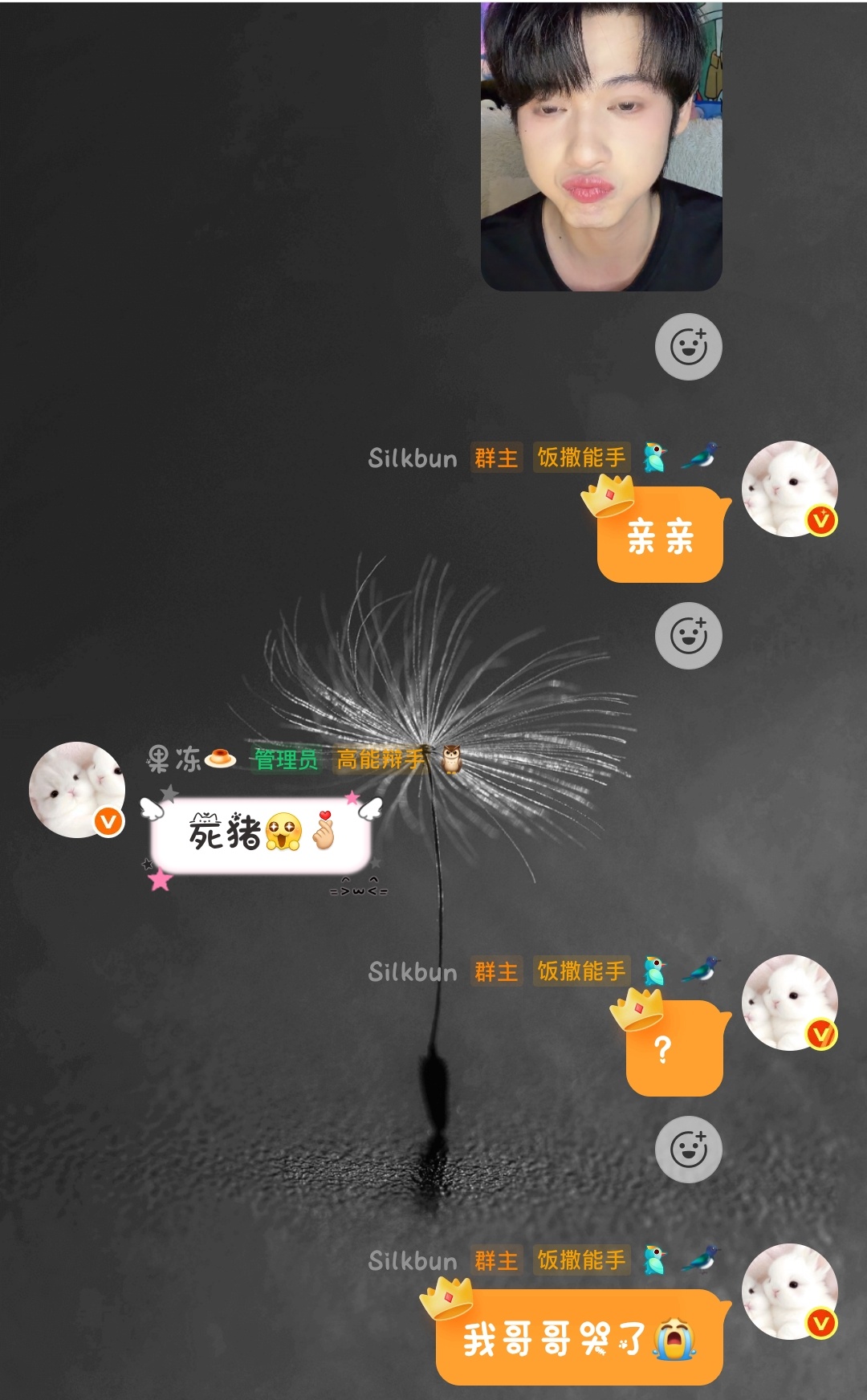 请问欺负一头小猪什么意思😭