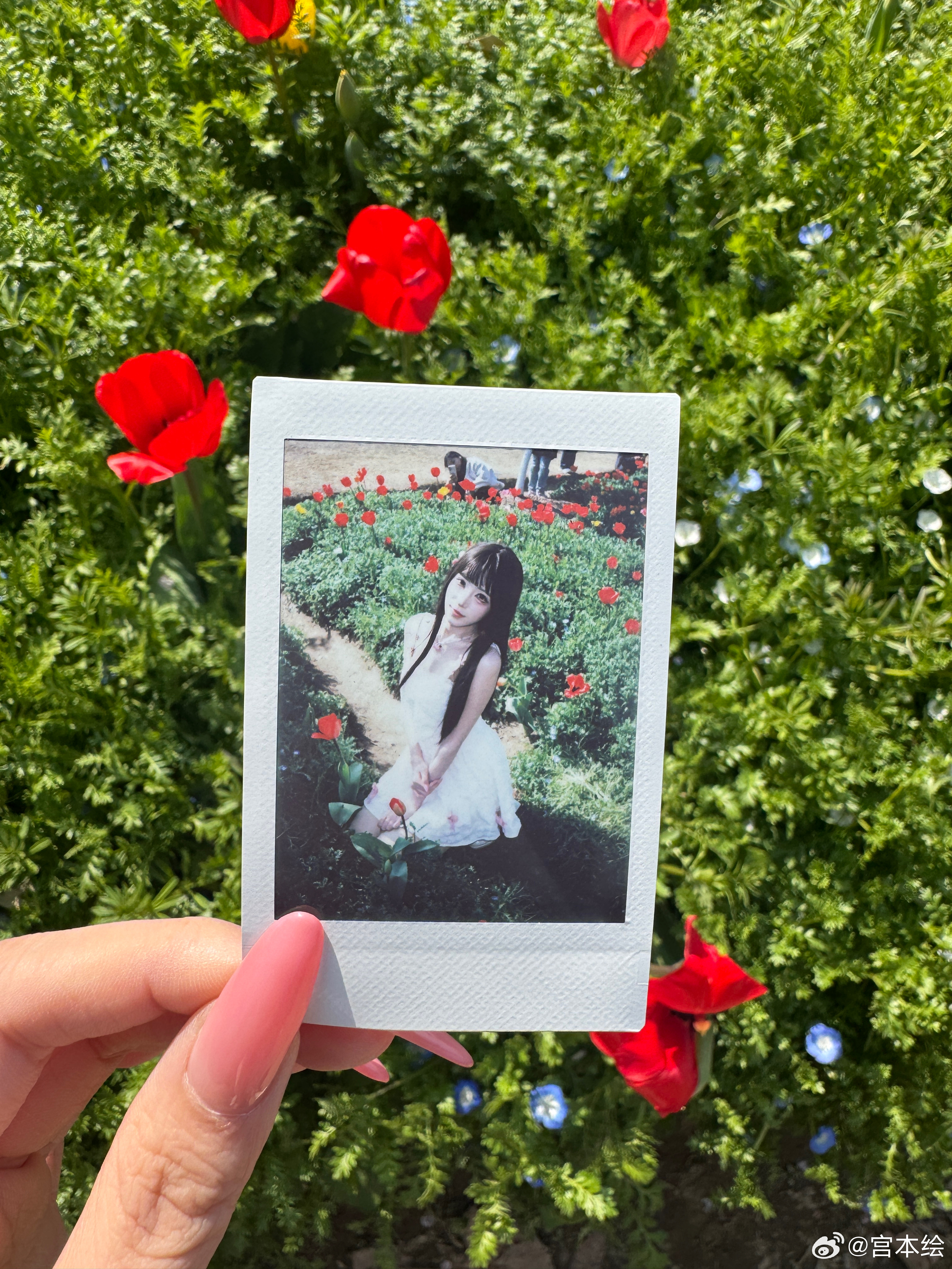 樱花 初恋白月光美女 🌸🌸🌸日常分享 点击live图动一动～ 