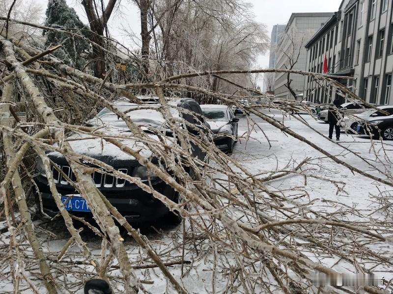 这轮寒潮虽不及2008年猛烈，却更需要绷紧神经。现代社会的脆弱性恰恰藏在生活品质