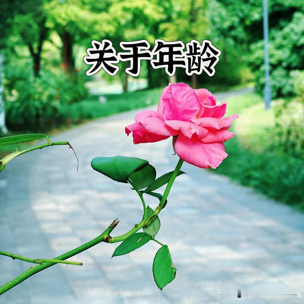 近期，由于某个事件致使网络舆论干部年龄之事，其实有多方面的原因。六七十年代的干部