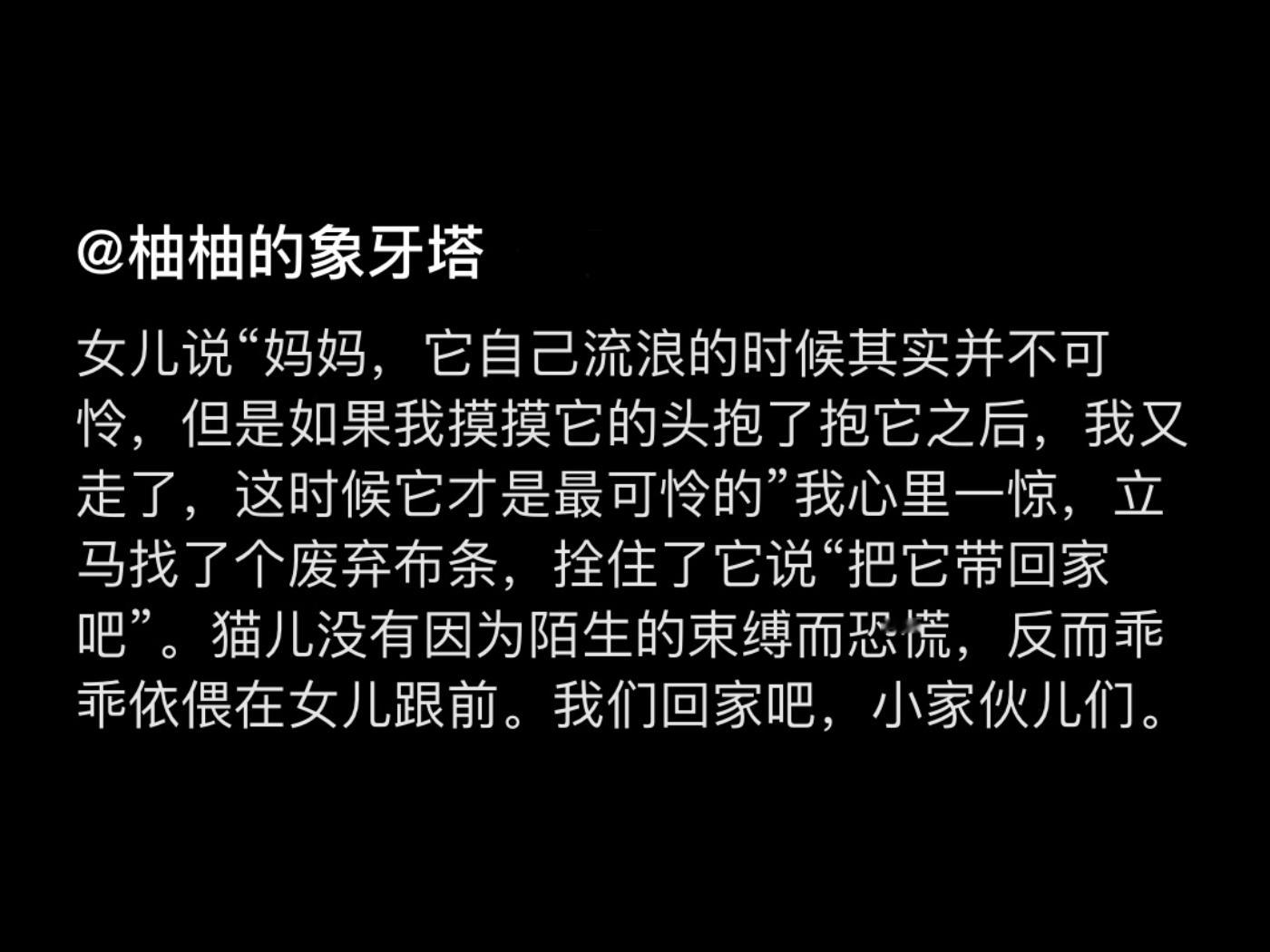 流浪的小猫不可怜，但感受过温暖后继续流浪才可怜[苦涩]这真的是我从来没有想到过的