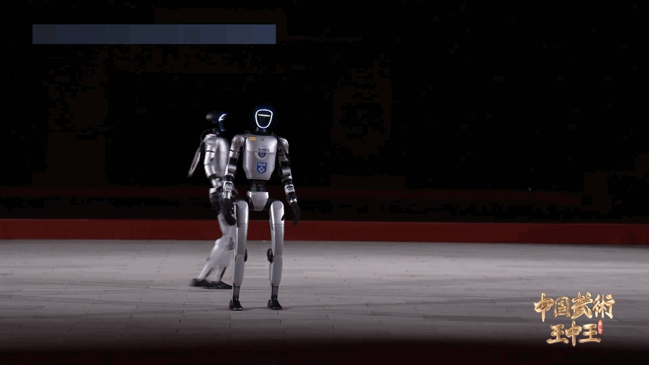 机器人居然会打虎鹤双形拳 被《中国武术王中王》的机器人狠狠圈粉！行云流水的虎鹤双