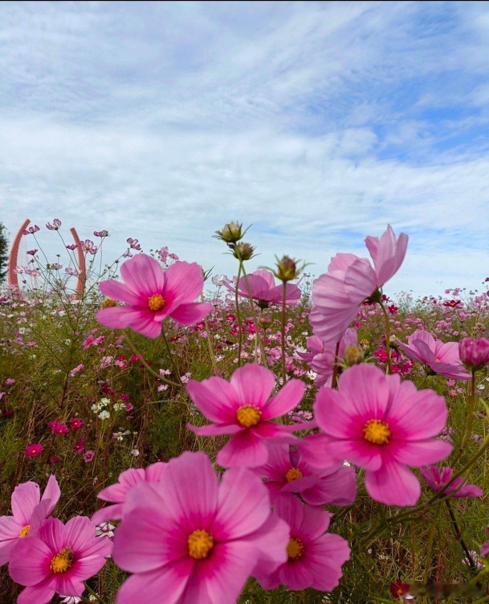 心怀善心，如同一盏明灯，照亮自己和他人的路。善良是一种选择，更是一种力量，它能温