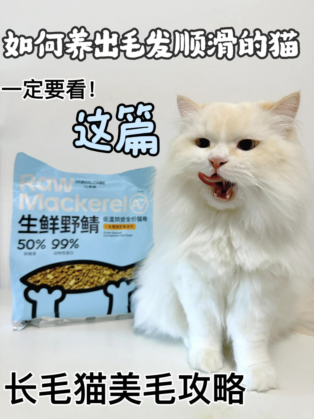 长毛猫美毛攻略