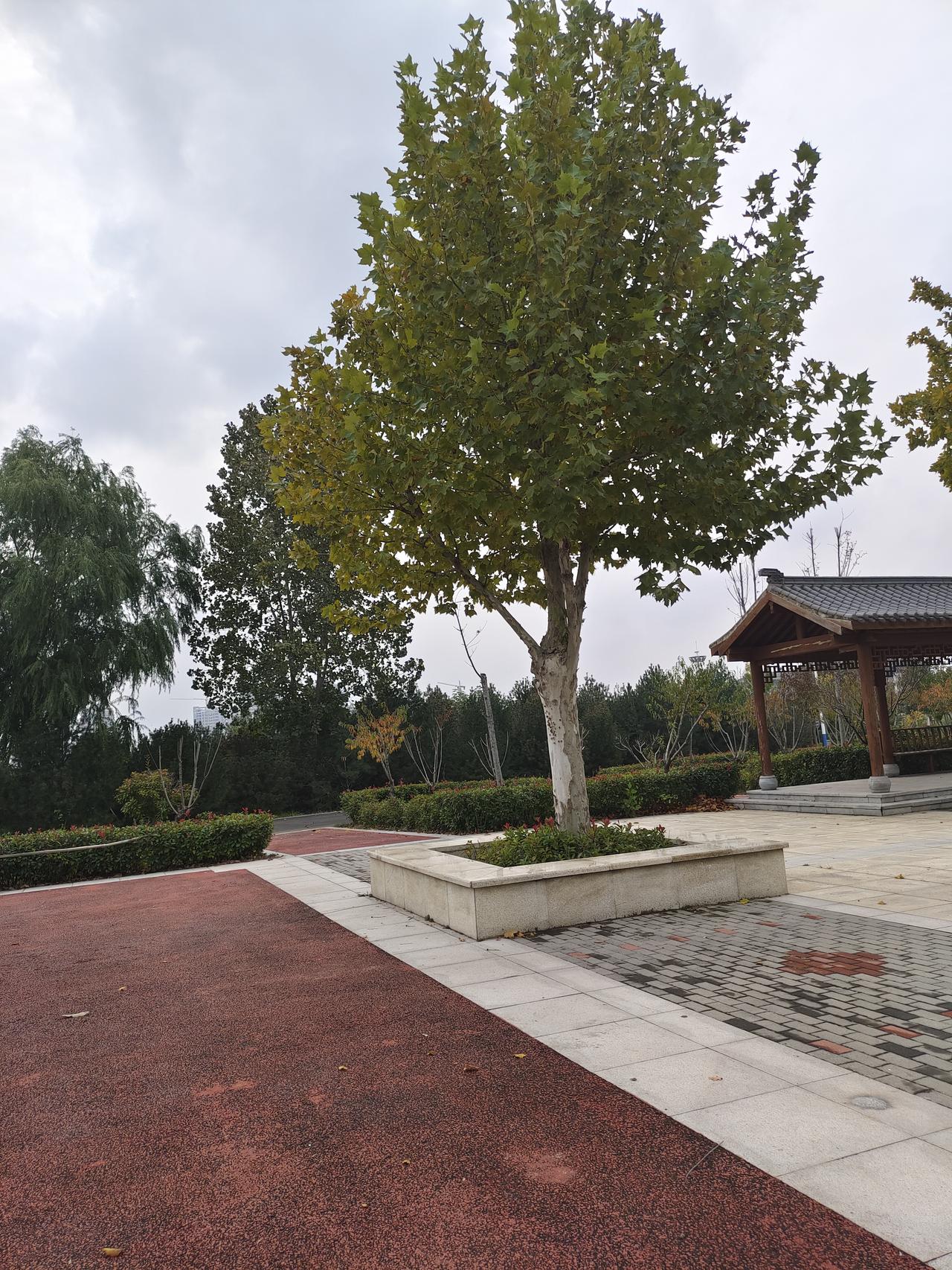 刚把取暖费交了。接近2900大洋。太贵了，心都在滴血……过几天又要交物业费320