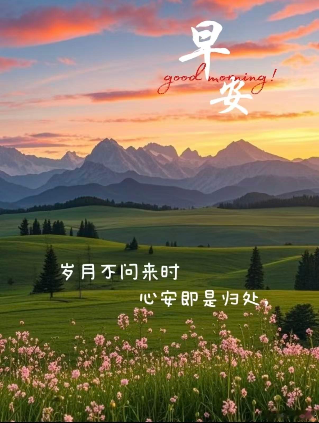 宽窄思语 蝉声悬在午后的光线里，尚未抵达夏的顶点。你听见的喧嚣，是空蝉对旧壳的追