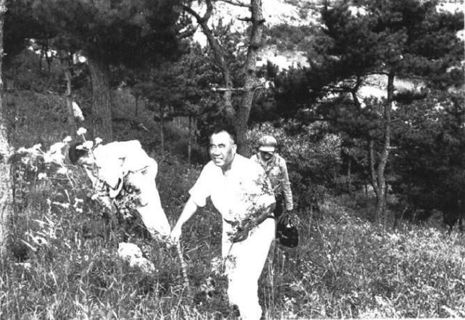 朱德在北戴河(1954年)。