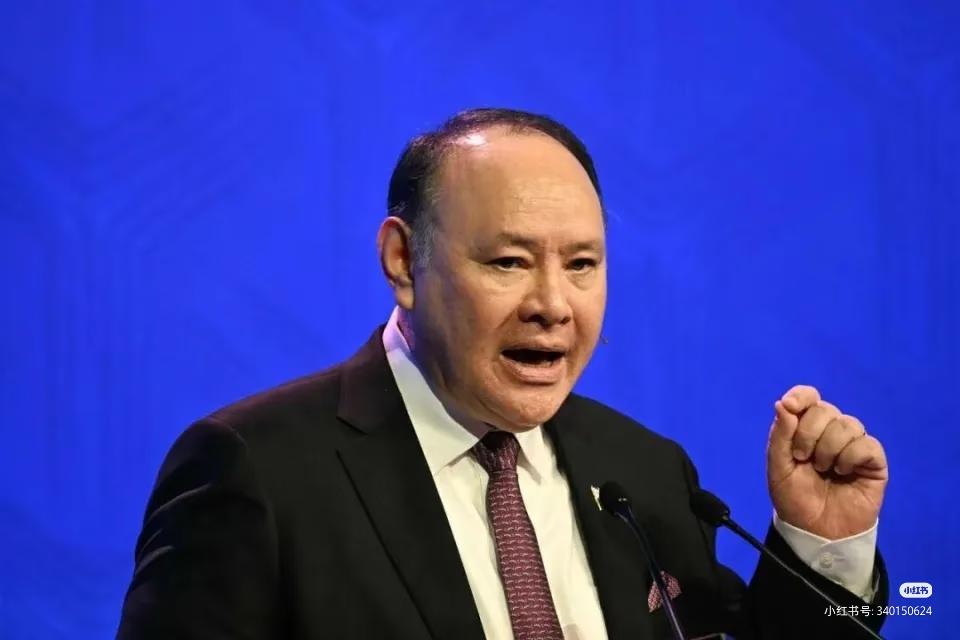 菲律宾求饶，扛不住了！

菲律宾国防部长罕见公开回应东方大国对100多名人士的移