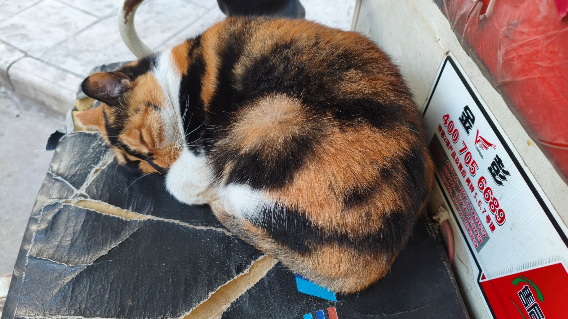 签到签到签到明天又是歹毒的周一           