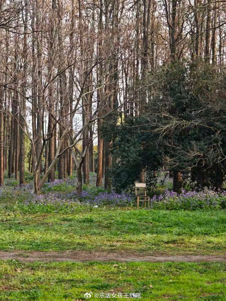 最没有班味的工位找到了在公园看到保安叔叔的工位本打工人实名羡慕了春风里派对