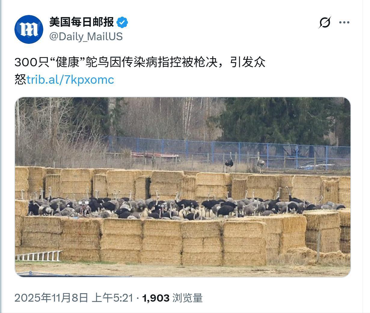 加拿大再次下手，这次是300只鸵鸟！

还记得几年前加拿大大批学校后院的“原住民