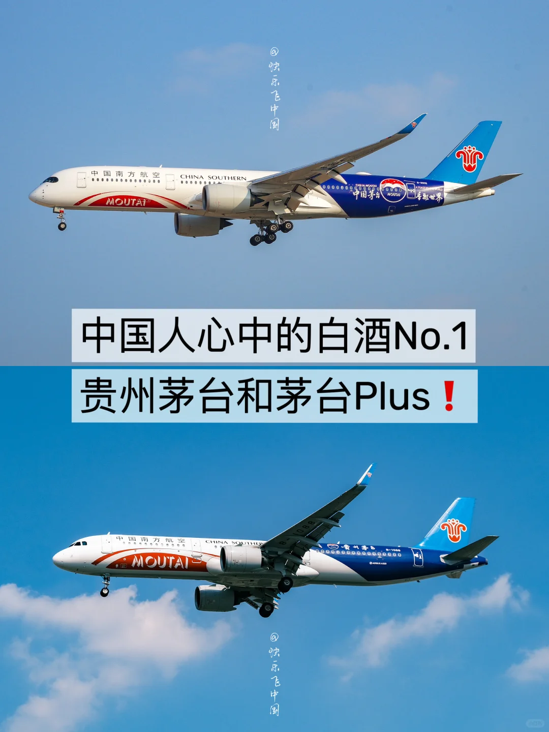 中国人心中的白酒No.1：贵州茅台和茅台Plus