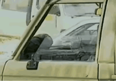 在野外观察野生动物，处处充满了危险，胆子小的，根本就从事不了这样的工作，粗心大意