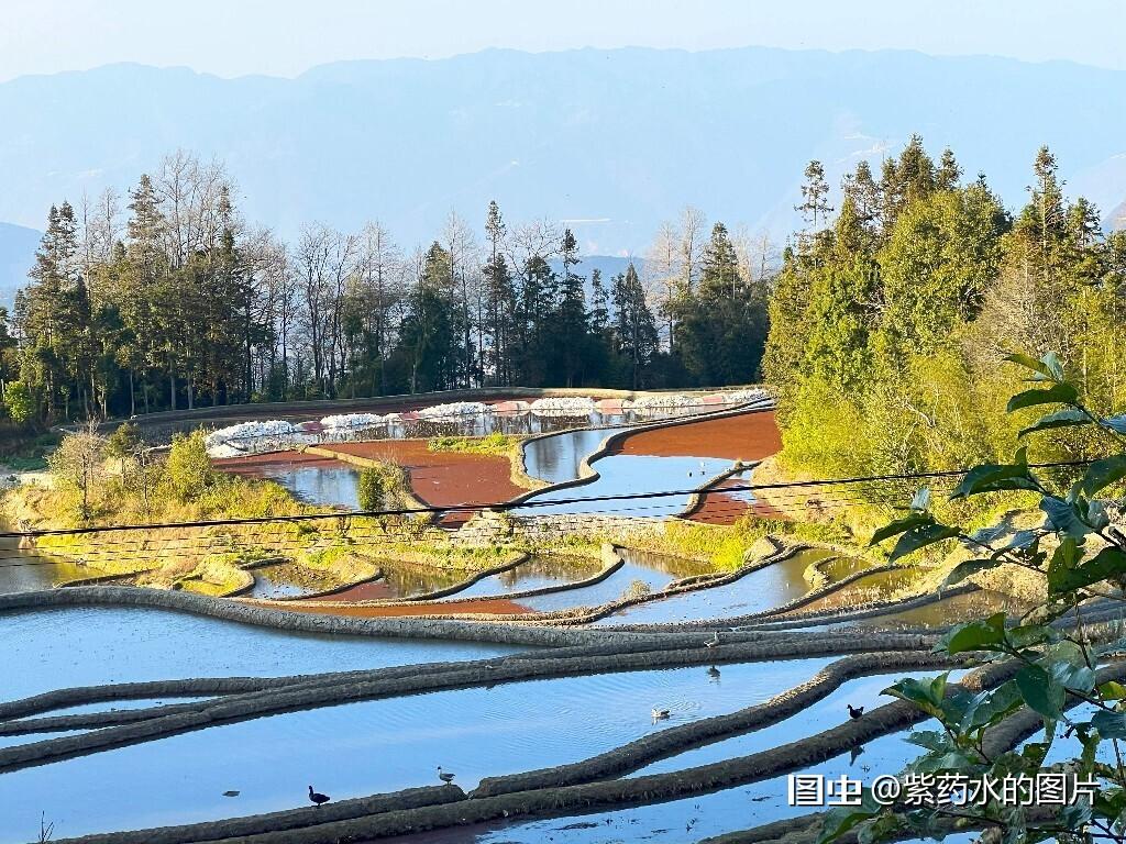 旅行合肥旅行拍照街拍