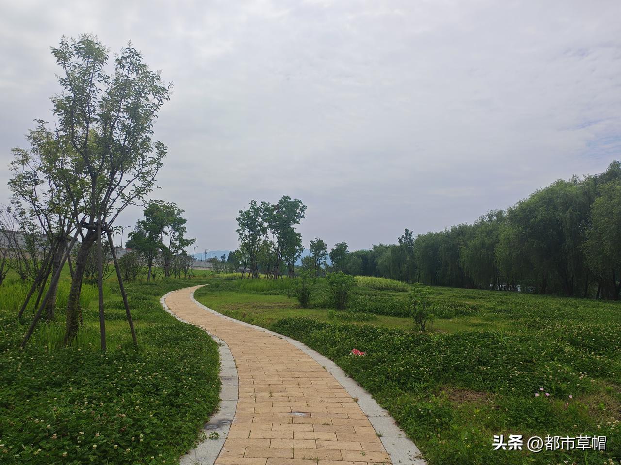 一个河南朋友，孩子在杭州工作，她也定居杭州了。前些天回河南，说老家一户人家有个男