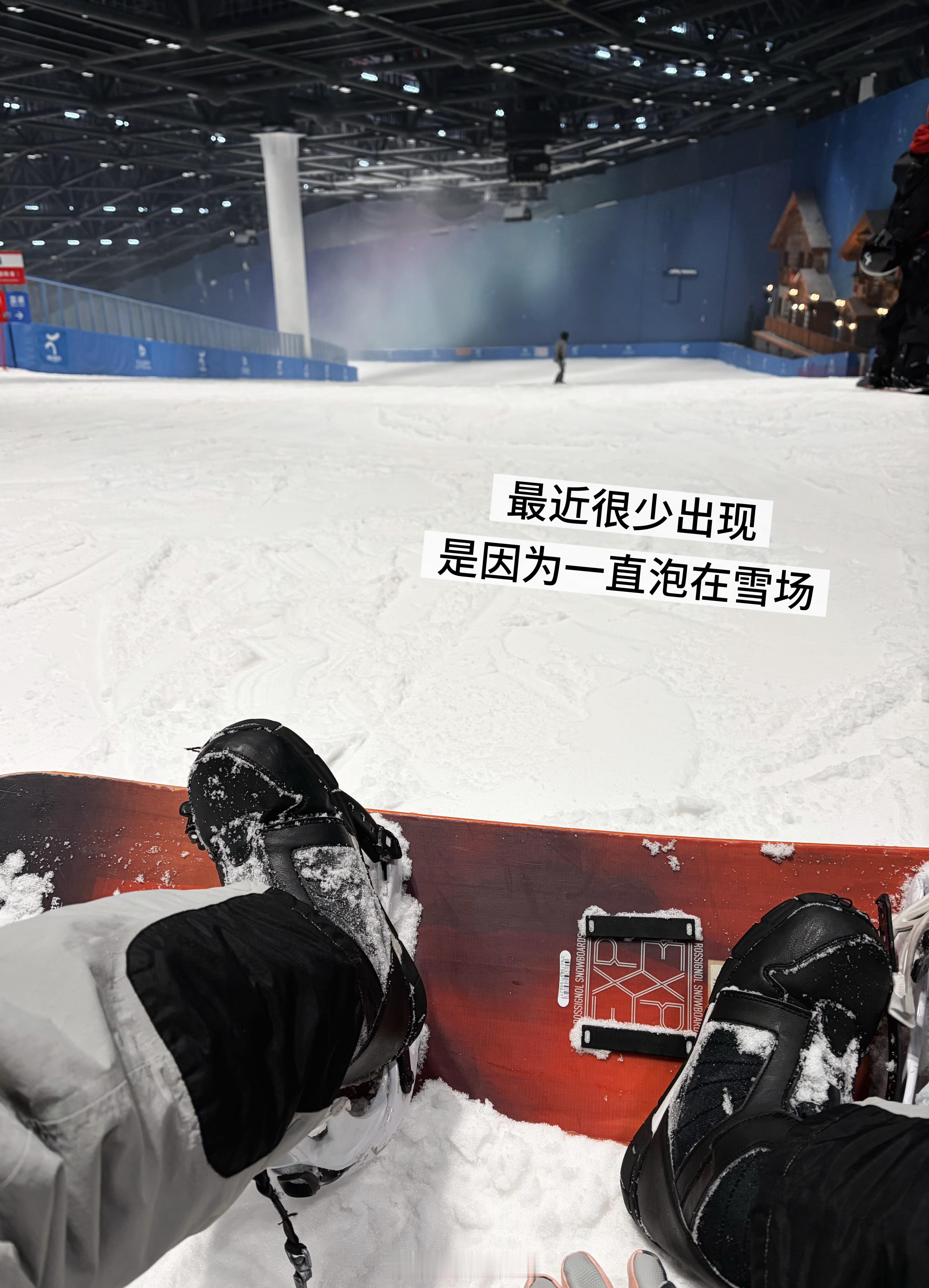 来给友友们汇报一下最近日常 上海·上海体育场