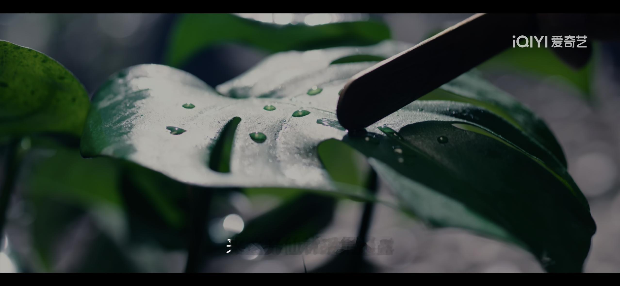 应该说，《唐诡》系列的台词、道具还是挺考究、用心的。但昨天看《唐诡奇谭》，却看到