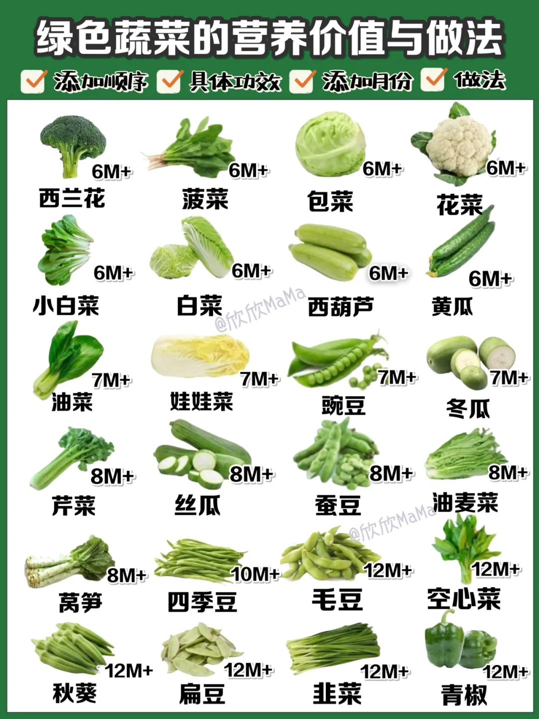 宝宝辅食添加顺序｜常见的绿色蔬菜营养价值