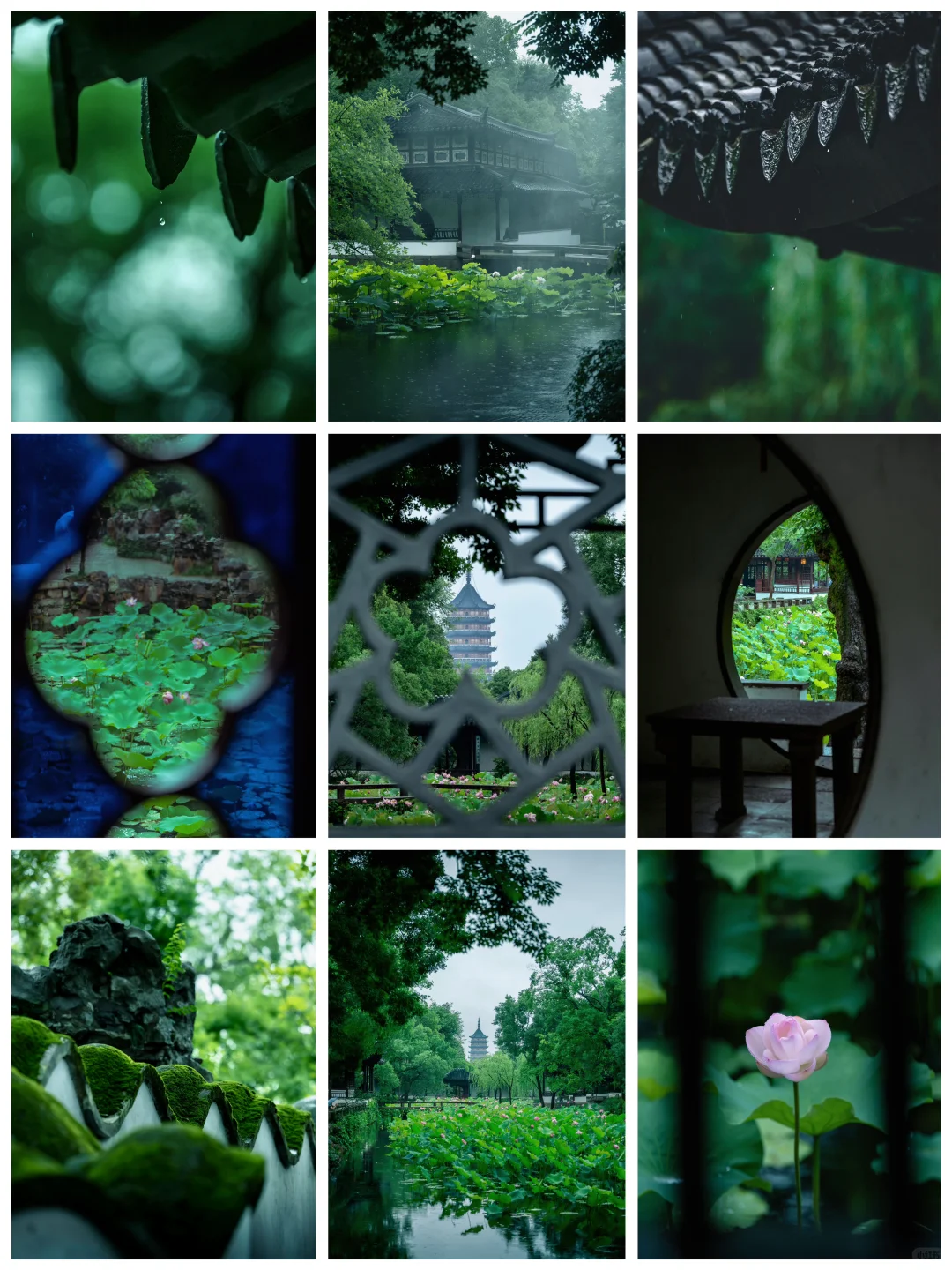 下雨关我拍照什么事