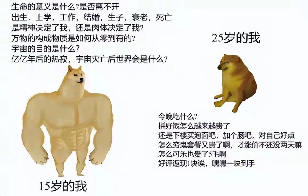 15岁与25岁的区别[捂脸]