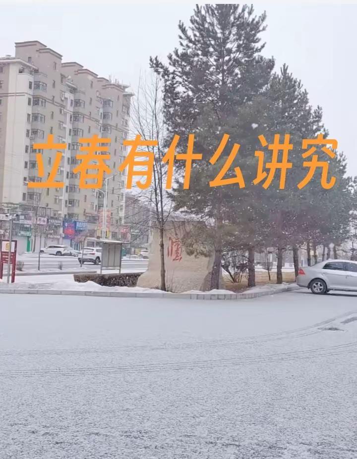 我的城市下雪了初雪的记忆雪花纷飞的季节
