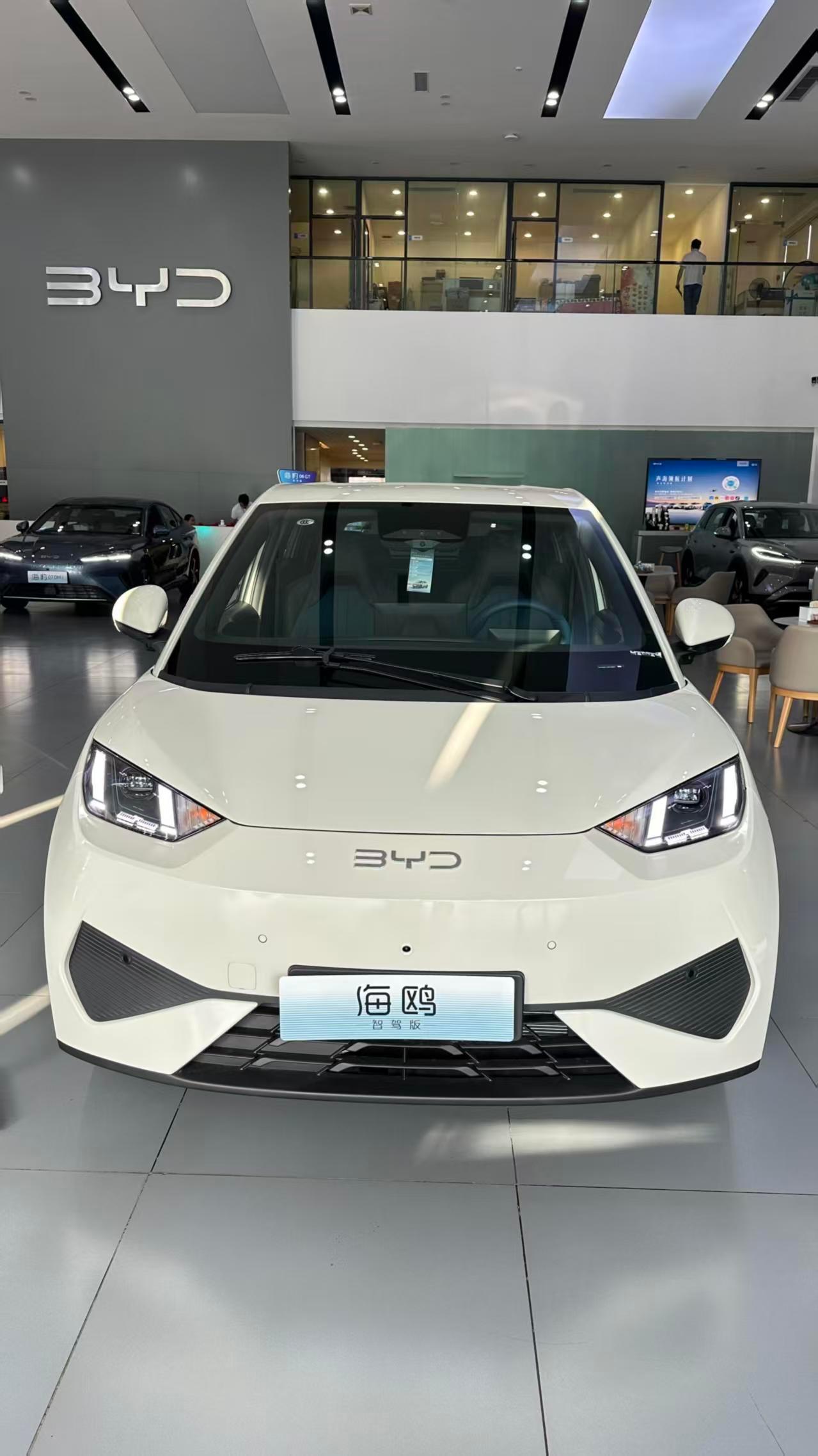 小型车也有快充，30分钟充到80%，续航305公里代步够用，IPB智能刹车系统响