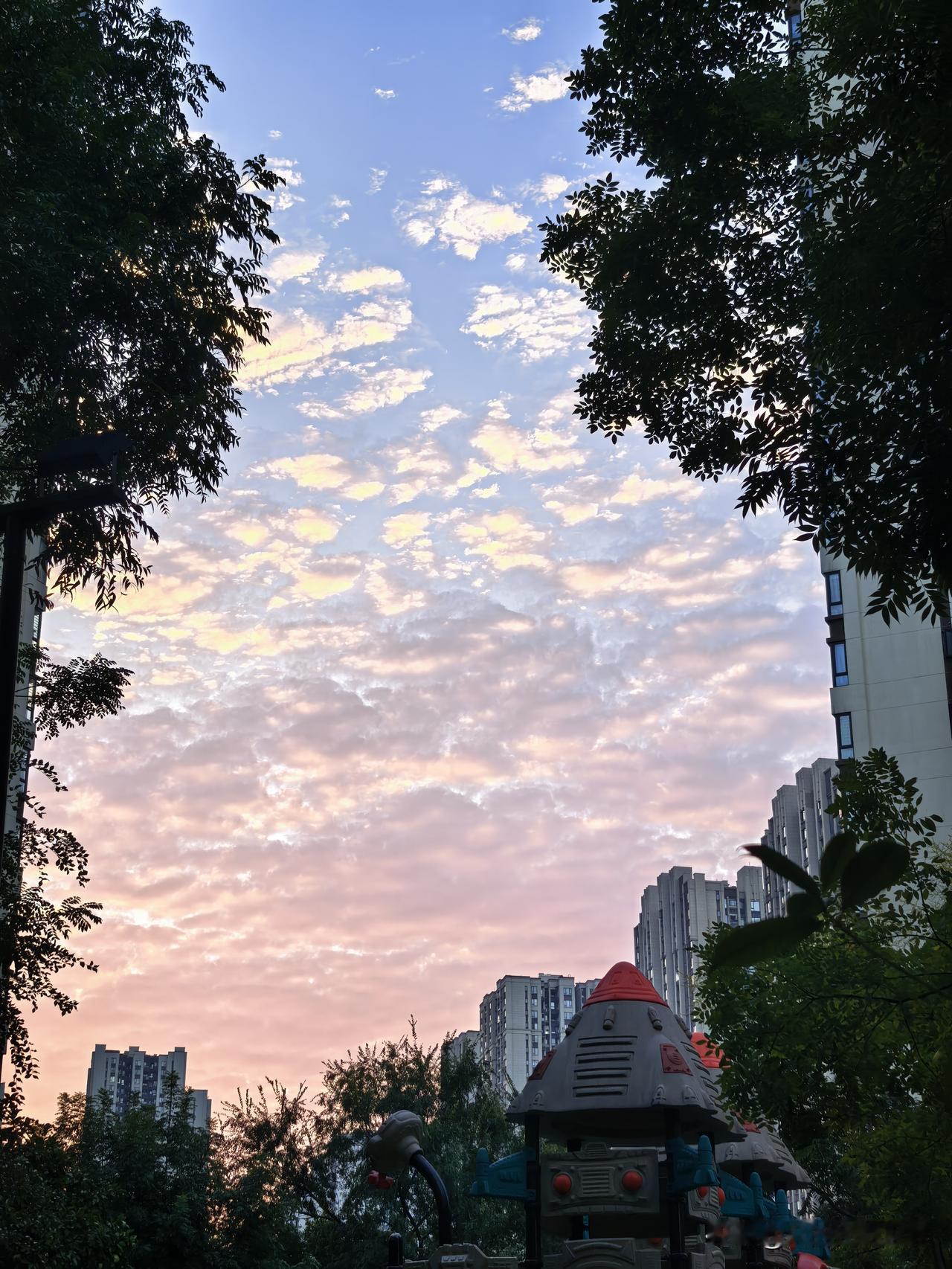 随手拍一张天空照我该如何描述今天早上的天空呢？大概是被揉碎的棉花铺了小半片天，橙