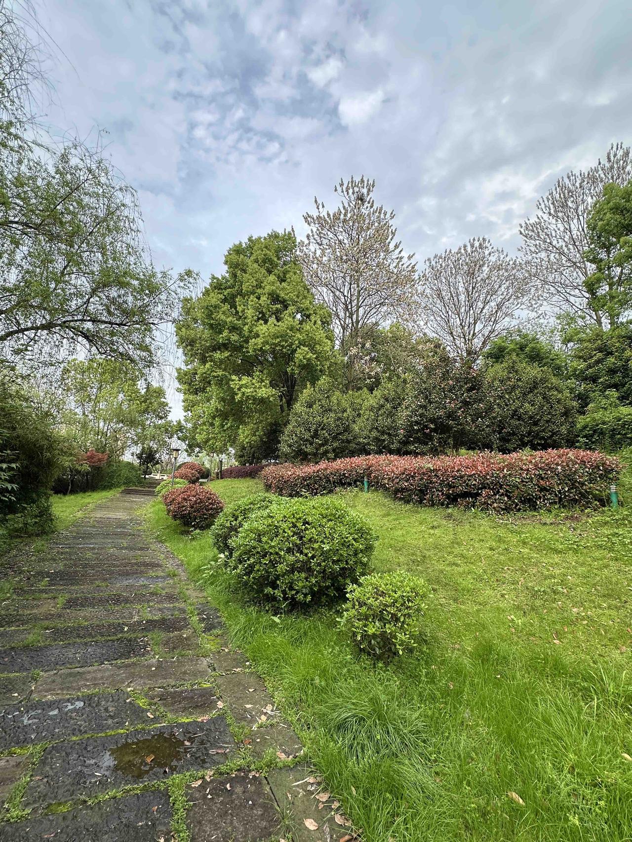 “吃肉不如生肉！”意思是说，与其出去大吃大喝不如养养精神身上更会长肉。我早上刚刚