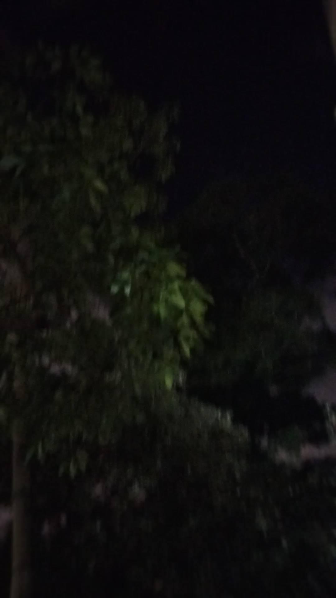 八点八万六，七点买的。