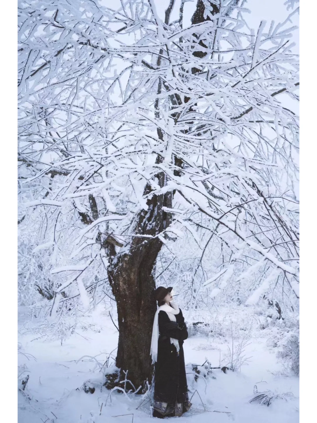 不藏了！成都周边超小众雪景出片机位