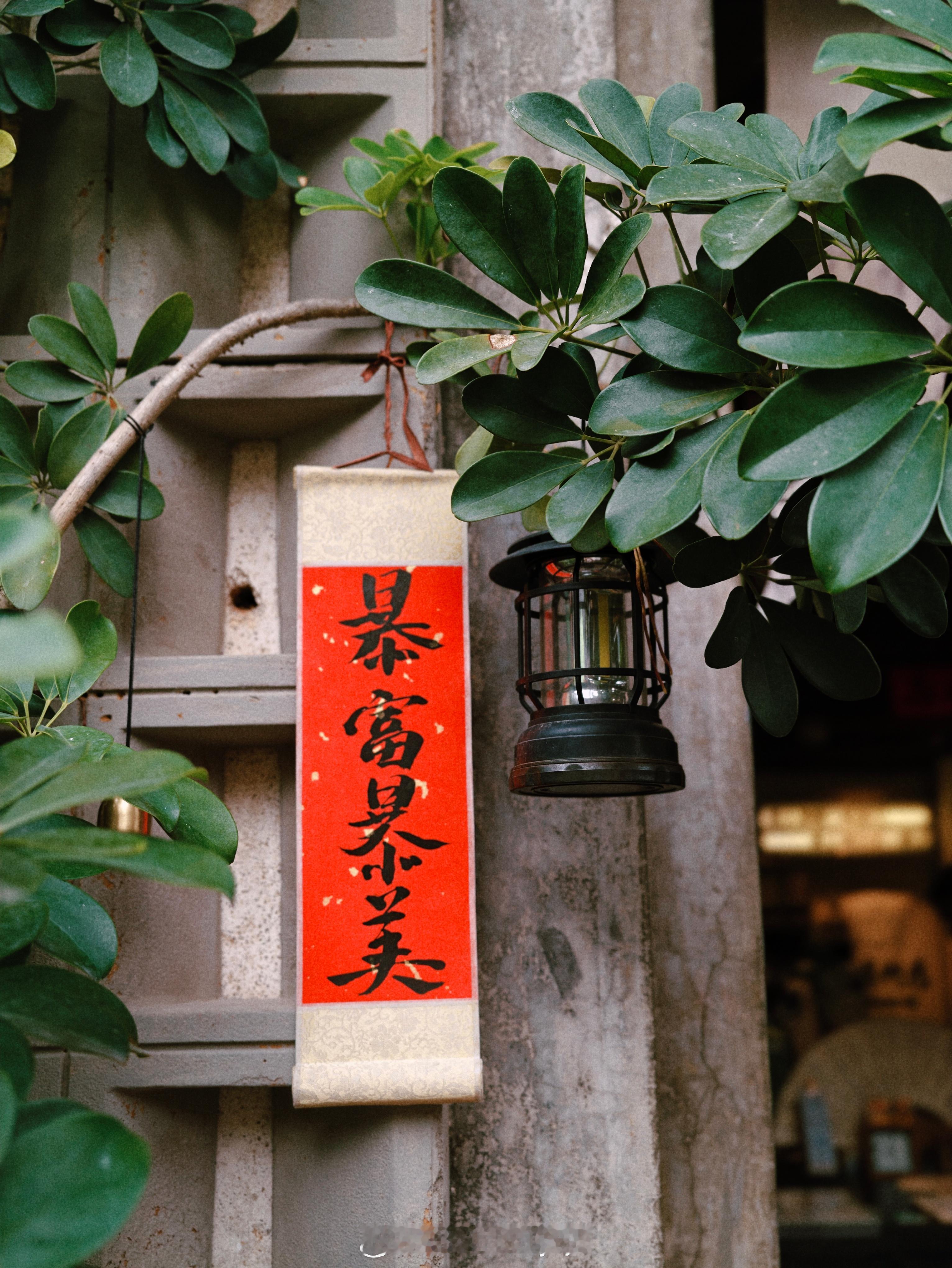 藏在古村里的治愈咖啡馆古巷深深，庭院几许愿这人间烟火，皆得所愿生活手记 深圳·皆