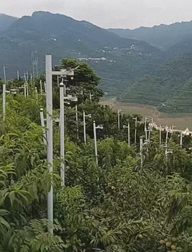 满园立杆关不住，一园监控出墙来！密密麻麻多达171套白色监控立杆组成的强大监控矩
