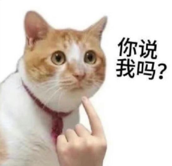 今天有个外卖小哥打电话说迷路了问我店咋走我：（？）我吗？（然后因为我真认识给指了